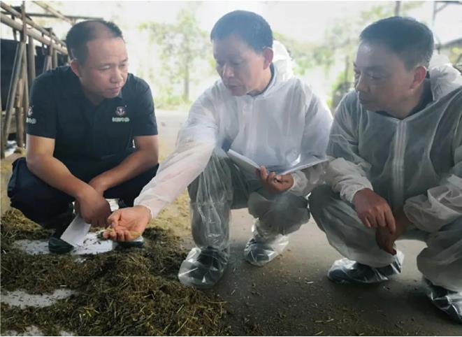 1730793169968516.jpg 360截圖20241105155239238.jpg